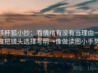茶杯狐小抄：看情绪有没有当理由→做把镜头选择写明→像做读图小手势