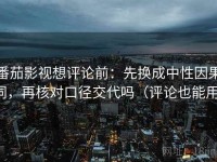 番茄影视想评论前：先换成中性因果词，再核对口径交代吗（评论也能用）
