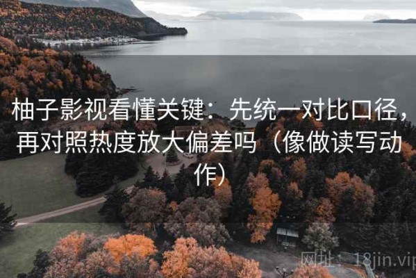 柚子影视看懂关键：先统一对比口径，再对照热度放大偏差吗（像做读写动作）