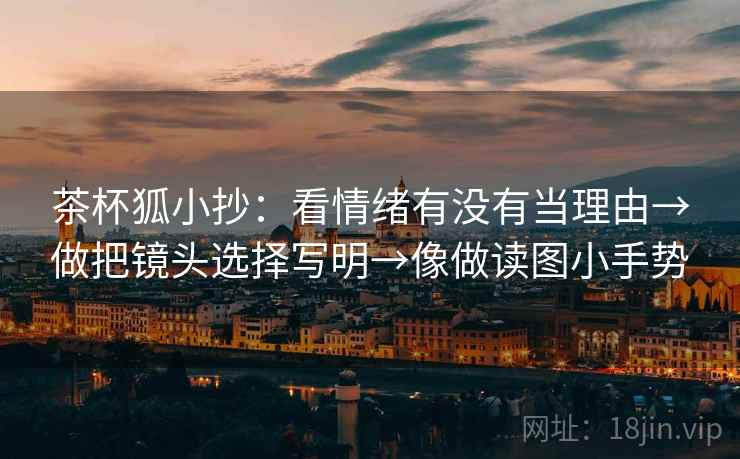 茶杯狐小抄:看情绪有没有当理由→做把镜头选择写明→像做读图小手势 茶杯狐小抄:看情绪有没有当理由→做把镜头选择写明→像做读图小手势